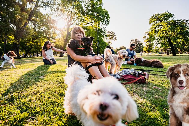 This Kentucky City is Among the Best in the Nation for Pet Owners