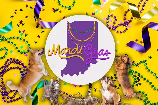 Annual Mardi Gras Tradition Helps Homeless Animals in Indiana