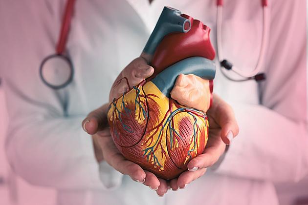 Tennessee Ranks Among States with the Least Healthy Hearts