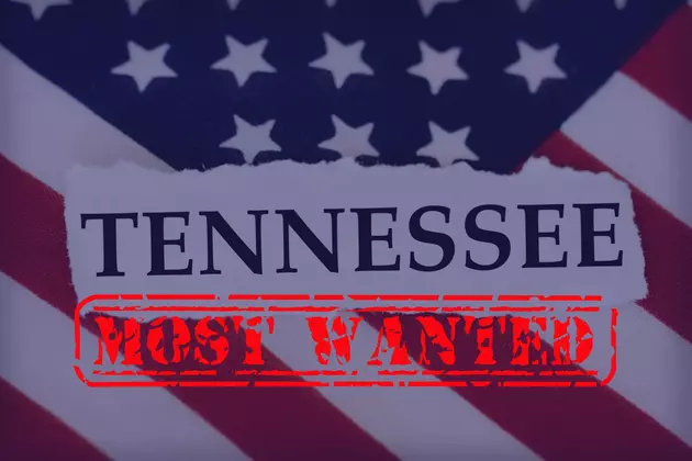 Have You Seen Any of Tennessee Bureau of Investigations Most Wanted Fugitives?