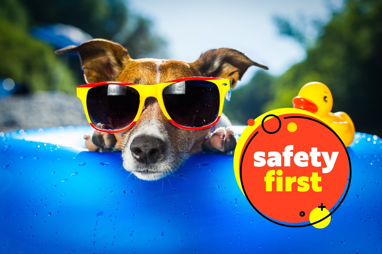 Stay Cool: Top Tips For Keeping Your Pets Safe In Hot Weather