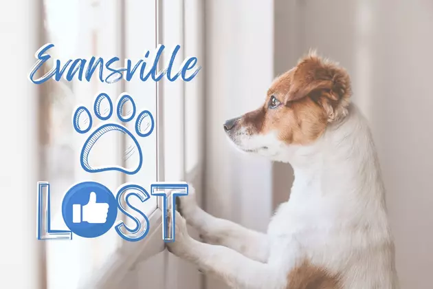 Farewell To Evansville Lost Pets Facebook Page: 14 Years Of Reuniting Pets