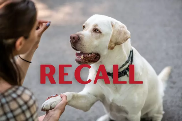 Dog Treats Recalled Nationwide Due to &#8216;Foreign Metal Objects&#8217;