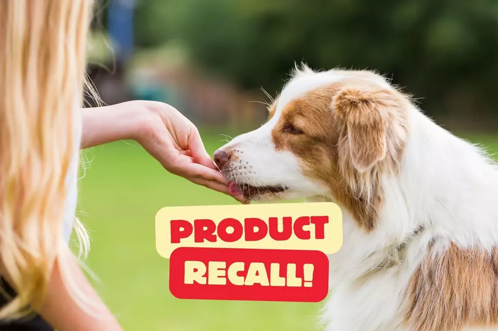 Dog Treats Recalled Nationwide Due to ‘Foreign Metal Objects’