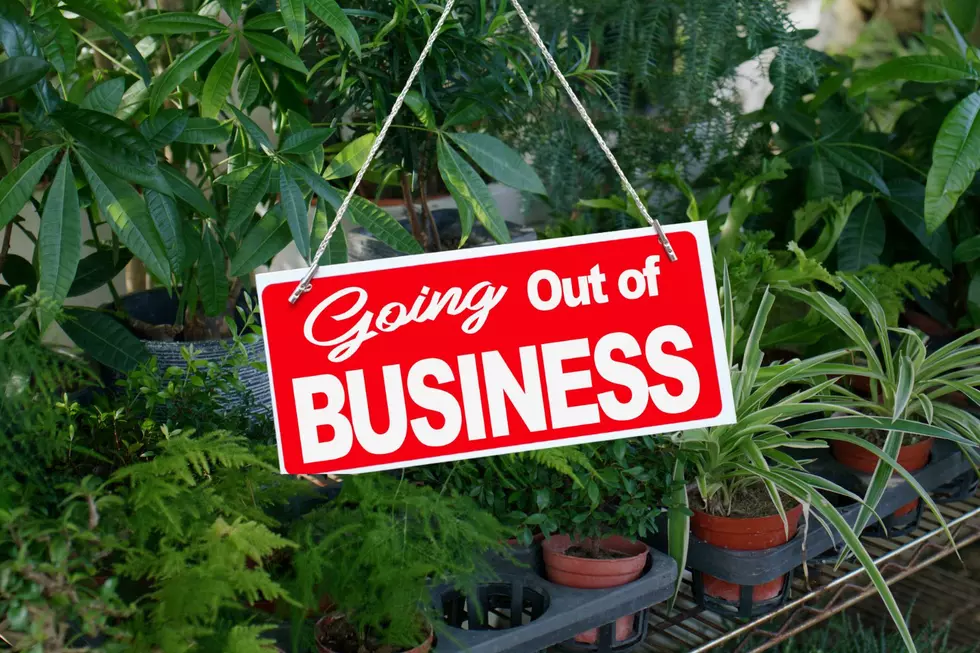 Local Plant Paradise to Close Doors: Kiwis Garden Center Shutdown