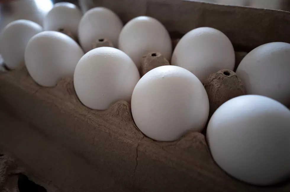 Salmonella Outbreak Linked to Indiana, Illinois Eggs Causes Illness in Kentucky