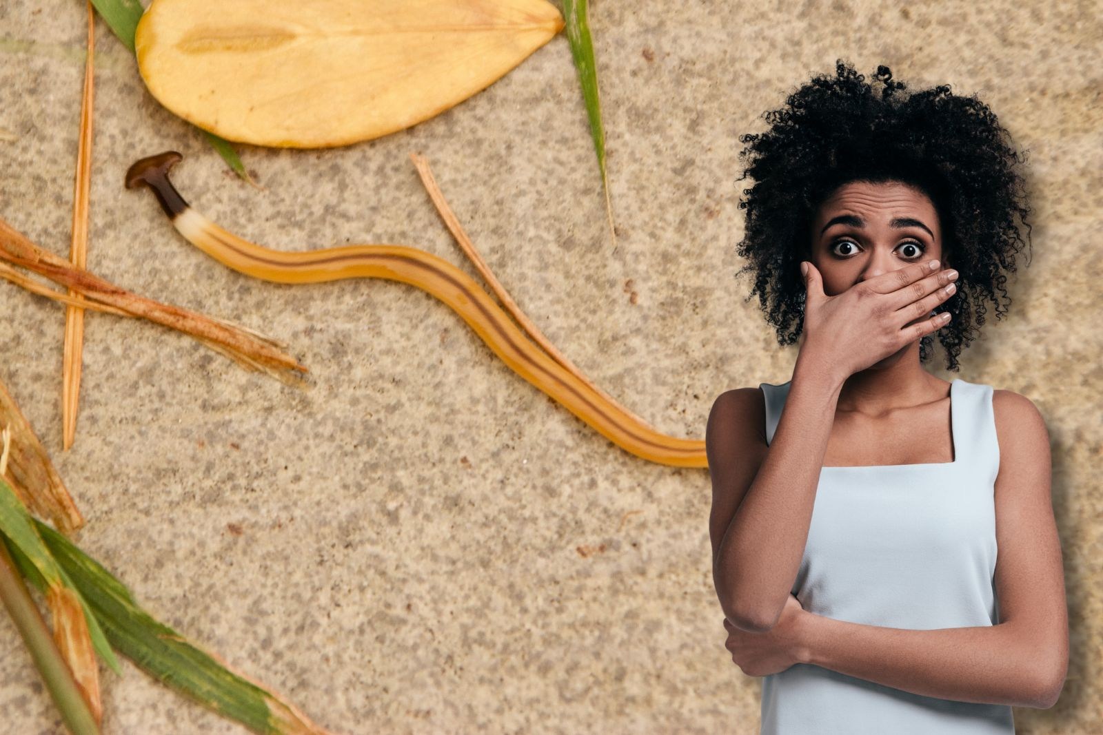 How to Safely Get Rid of Hammerhead Worms