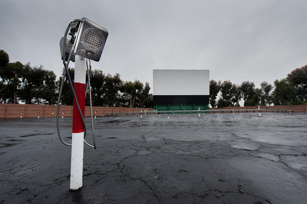 Enjoy a Great Movie at one of Minnesota&#8217;s Drive-in Theaters