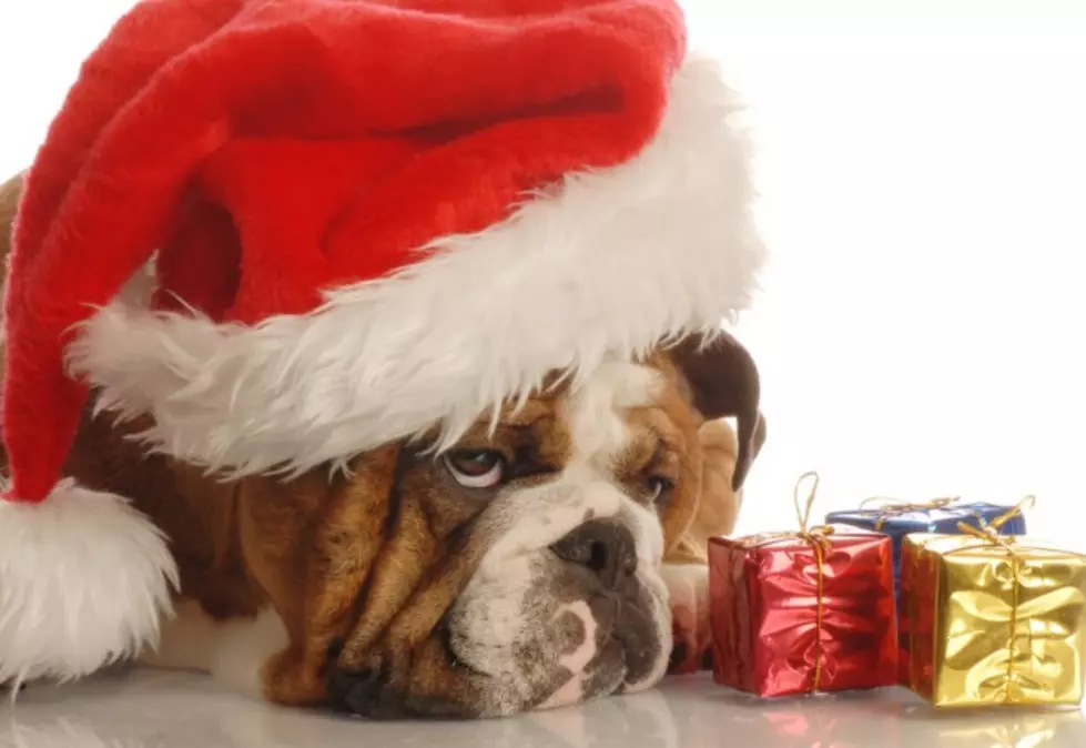Illinois’ Most Popular Mall Invites Your Pups to Pose with Santa