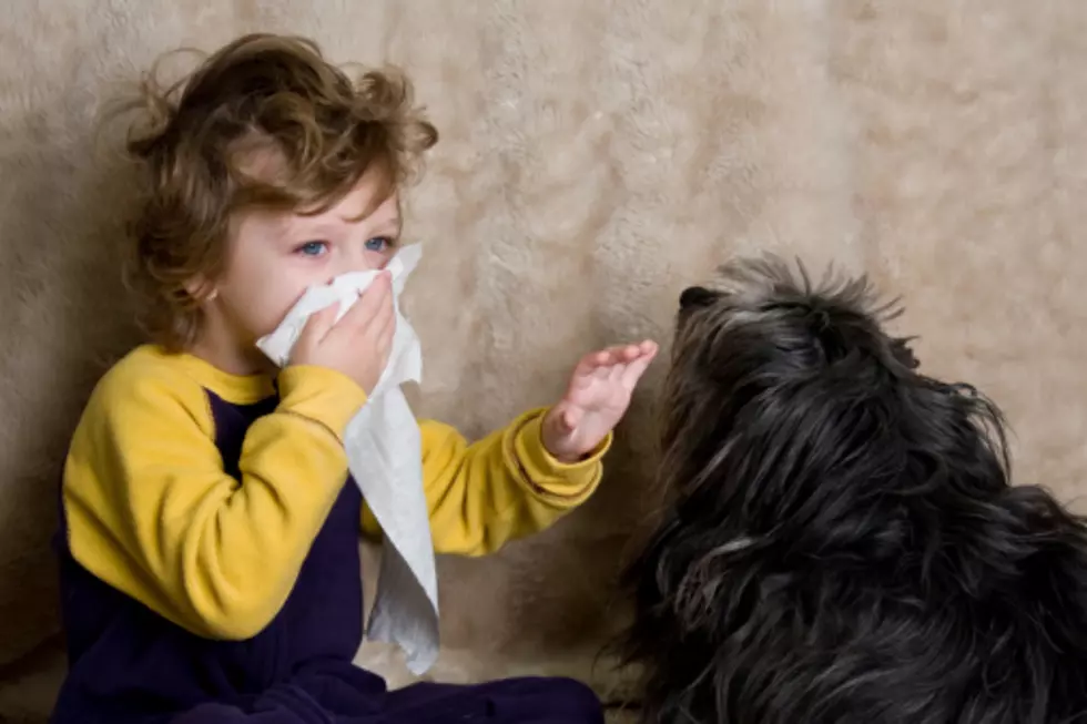 Ways To Live With Pet Allergies
