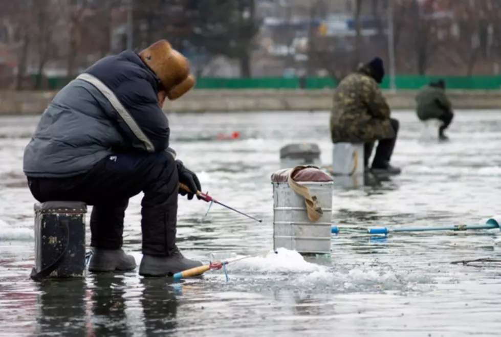 Fishing For Traffic Light Trivia 