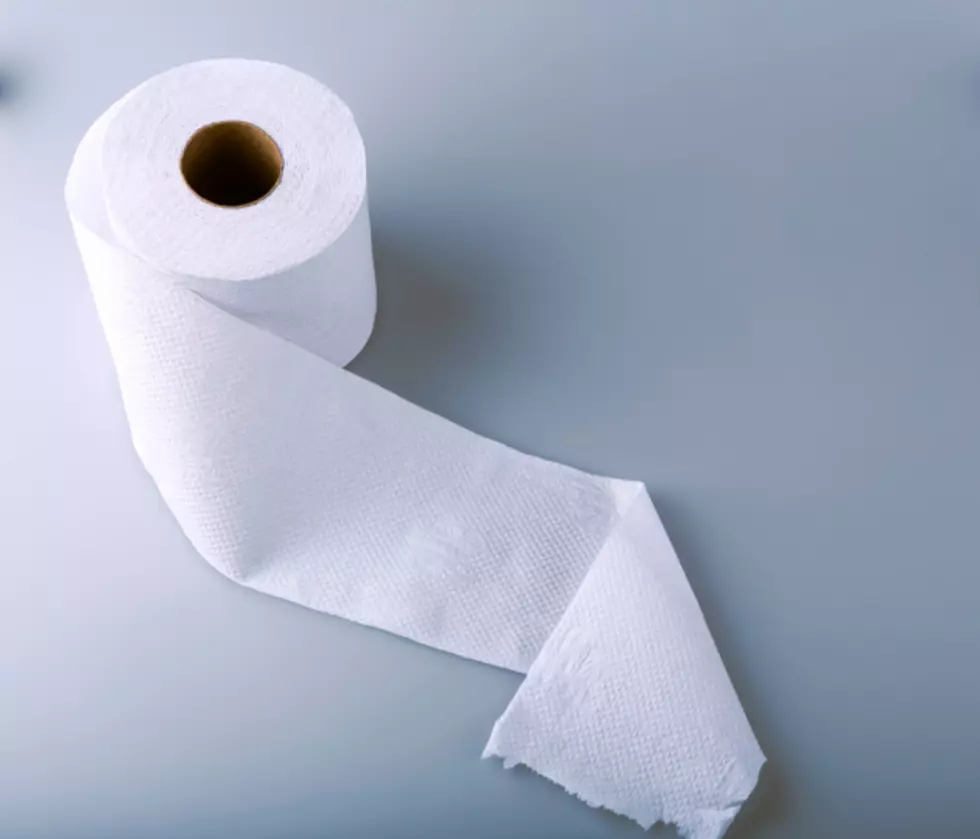 Former Illinois Restaurant Owner’s Toilet Paper Dreams Might Save You Money