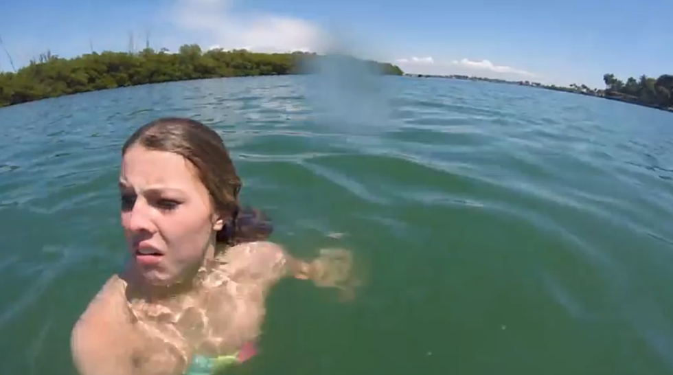 Girl Thinks Manatee Is Attacking; Screams Hilariously [VIDEO]