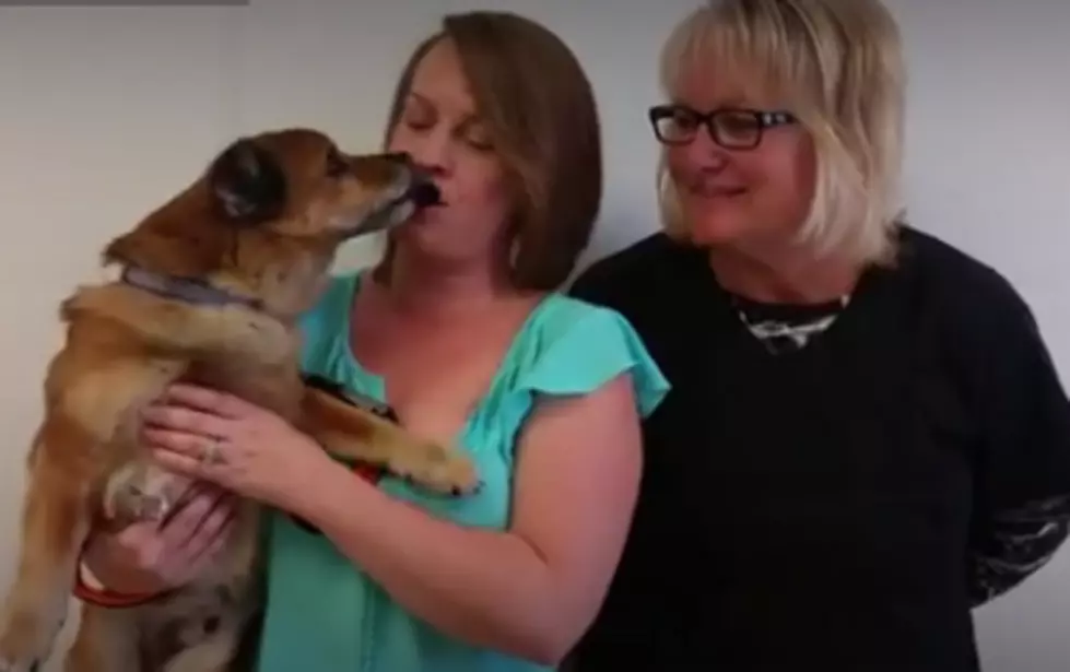 Darling Dusty Jo Loves Giving Kisses [VIDEO]