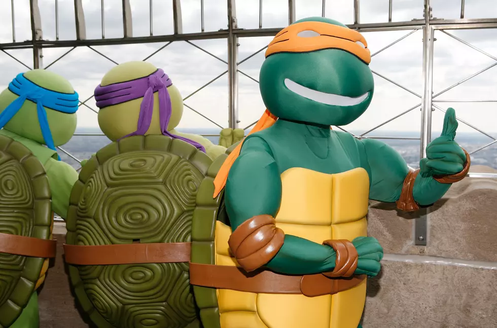 Groom Gets to Be a TMNT 