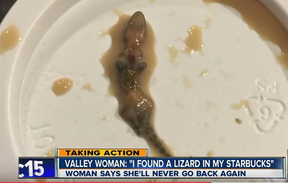 Woman Finds Lizard in her Starbucks [VIDEO]