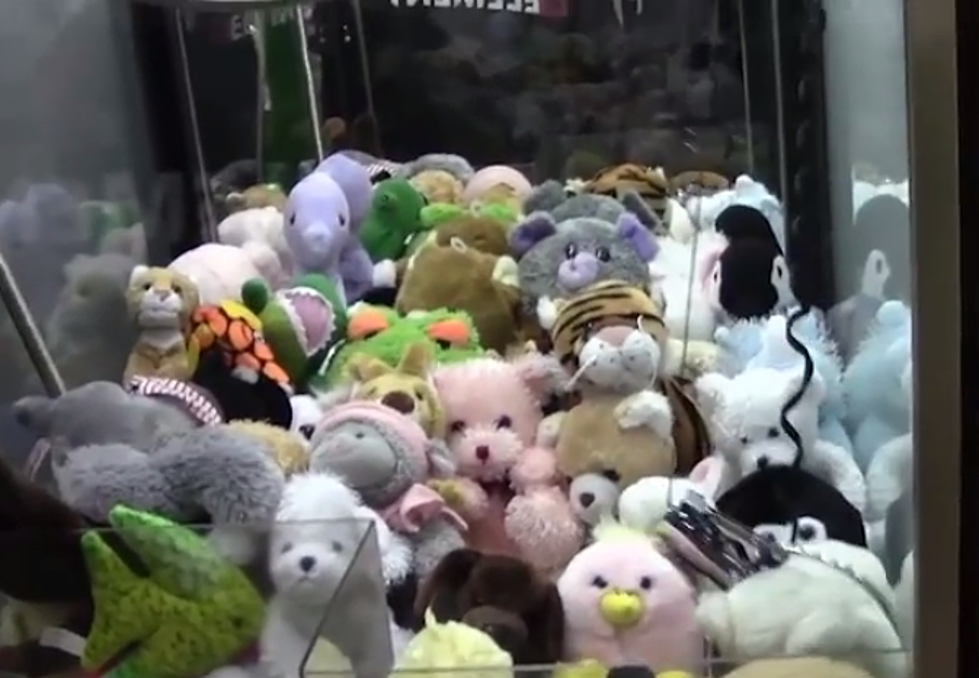 You Can Stop Spending Your Money, Claw Machines Are Rigged [VIDEO]