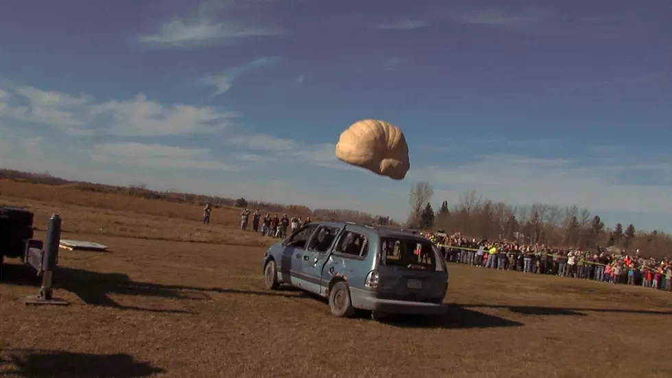 Minivan Crushed by 1,465-Pound Pumpkin [VIDEO]