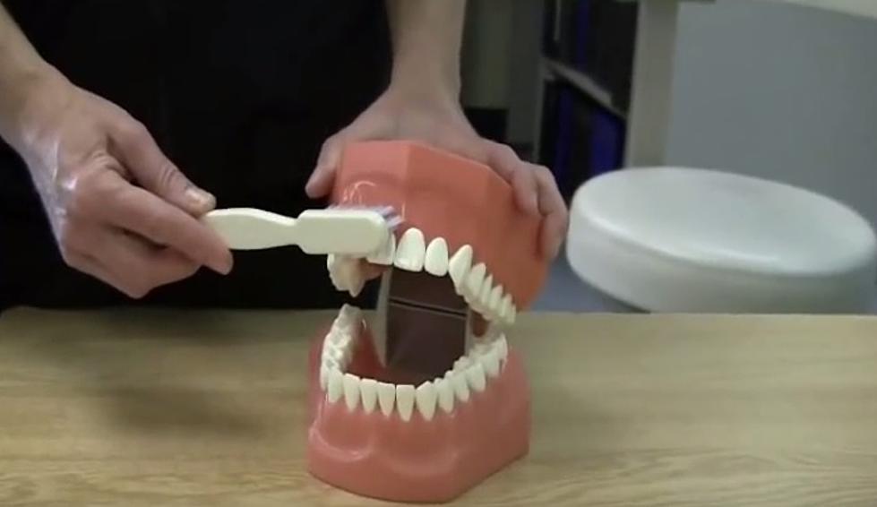 You’ve Been Brushing Your Teeth Wrong Your Whole Life [VIDEO]