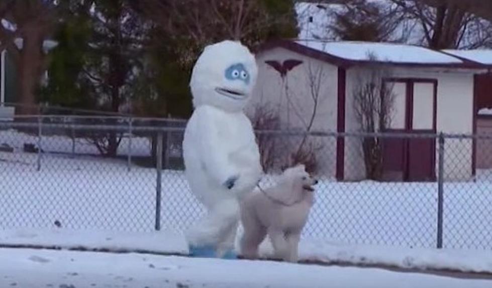 Wisconsin Woman Walks Dog Dressed as Abominable Snowman; Yes Really [VIDEO]