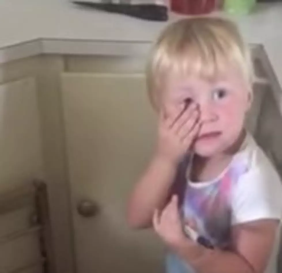Little Girl Turns her Younger Sister into a Zebra [VIDEO]