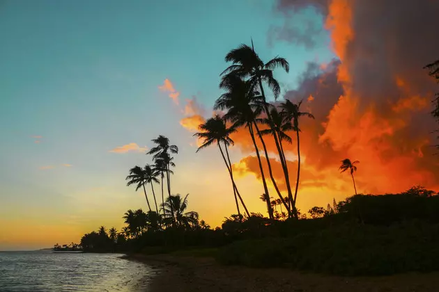 Hula Dance Lessons 90 Minutes from Rockford, No Need to Fly to Hawaii