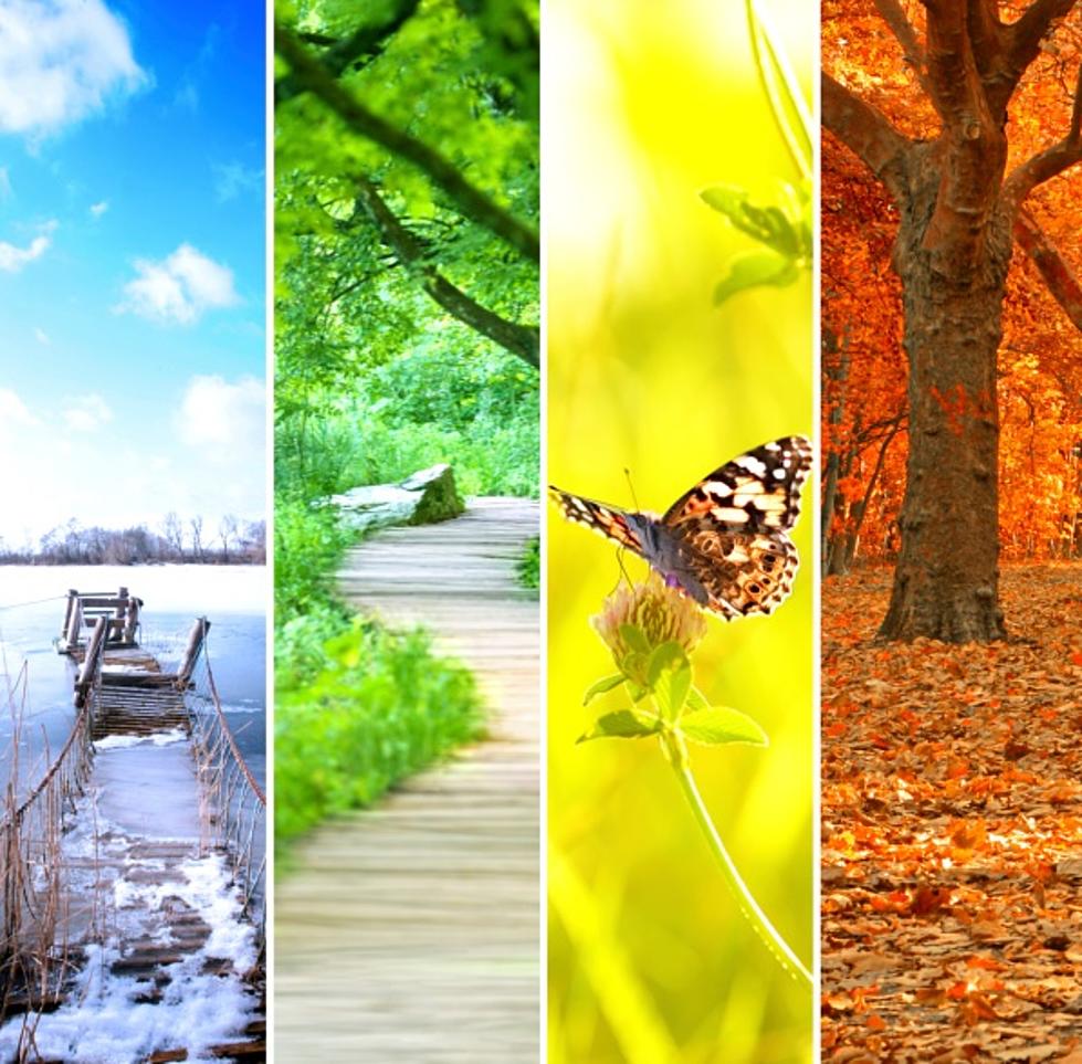 Man Captures All Four Seasons In One Photograph