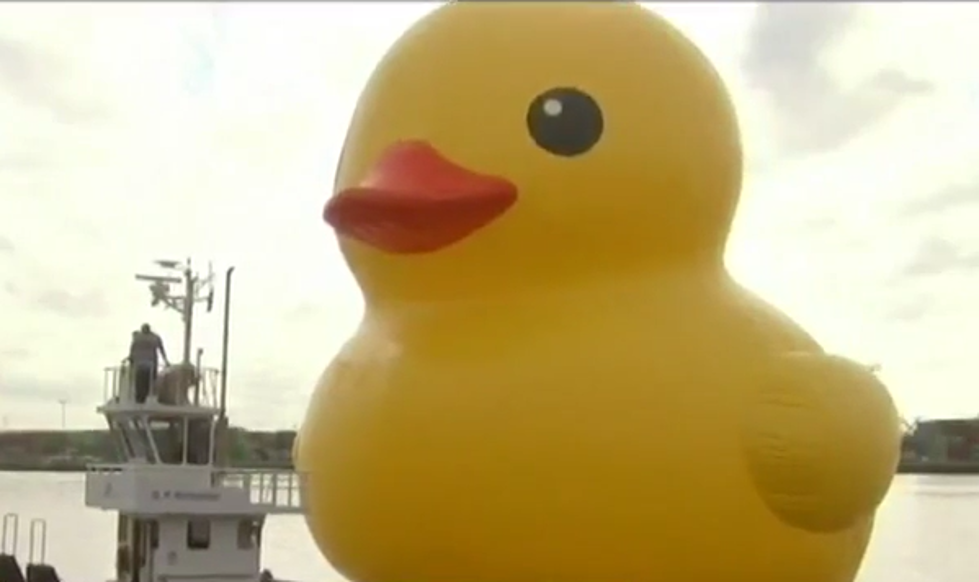 Largest Rubber Duck in the World is Coming to Wisconsin