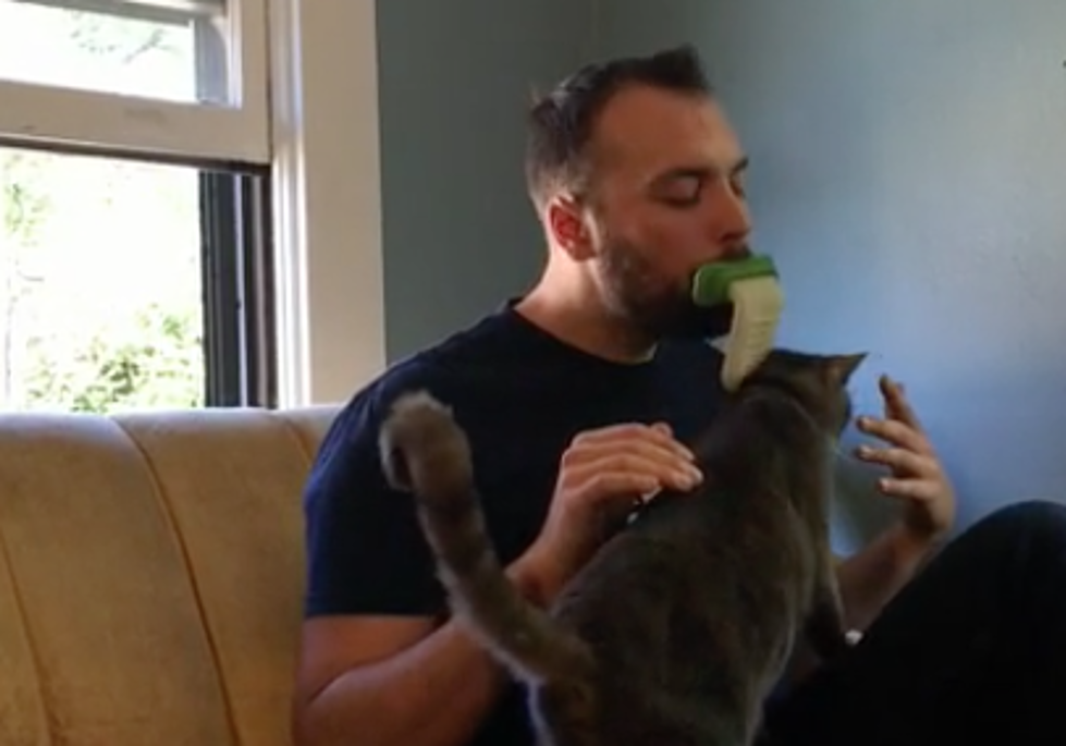 You Can Now Lick Your Own Cat