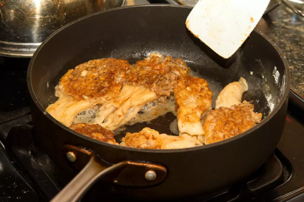 Gigantic Morel Mushroom in Iowa is Largest Ever, says DNR