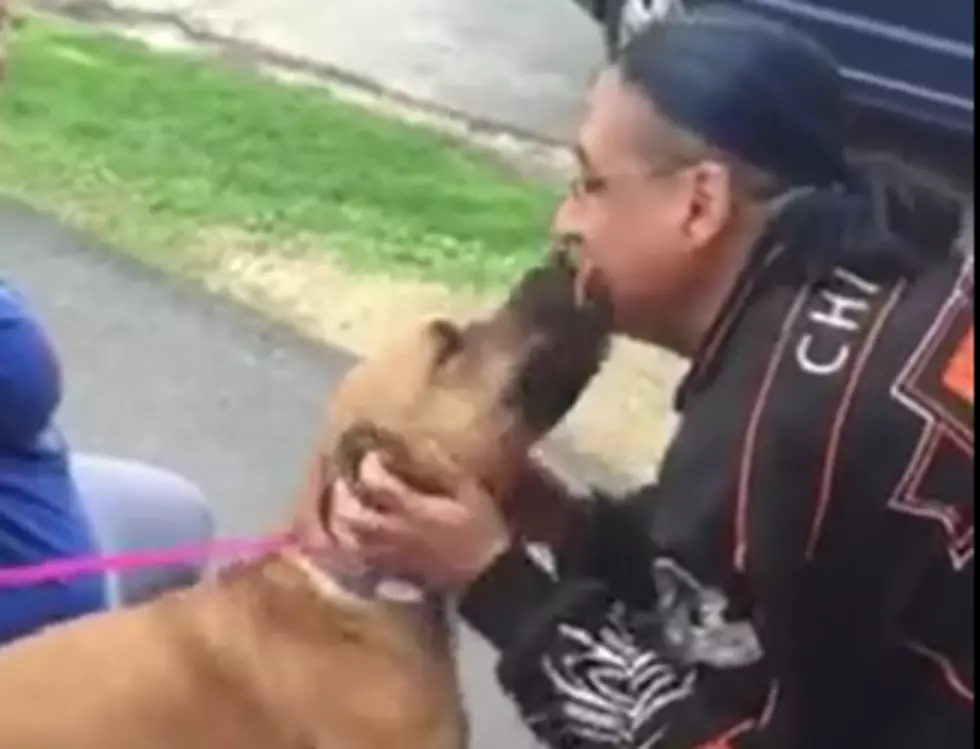 Winnebago County Animal Services Reunites Man With his Dog After Years Apart [VIDEO]