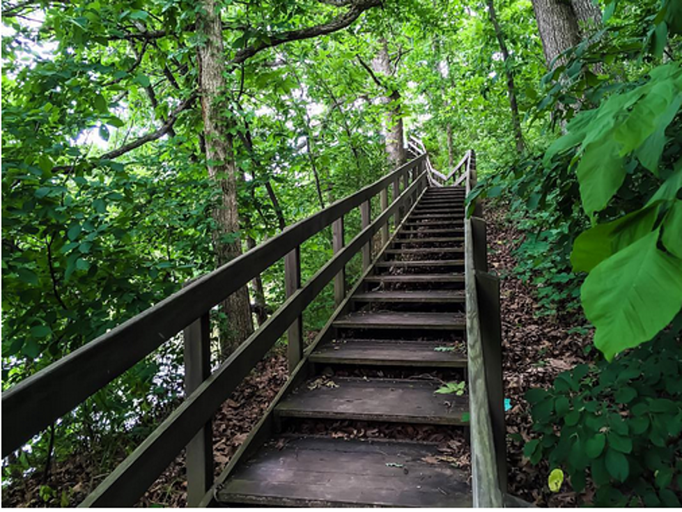 One of The Most ‘Underrated Hikes Near Chicago’ Is Just Outside of Rockford