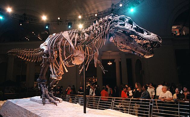 Chicago&#8217;s Field Museum Adds Fall and Winter Dates to Its &#8216;No Admission&#8217; Days