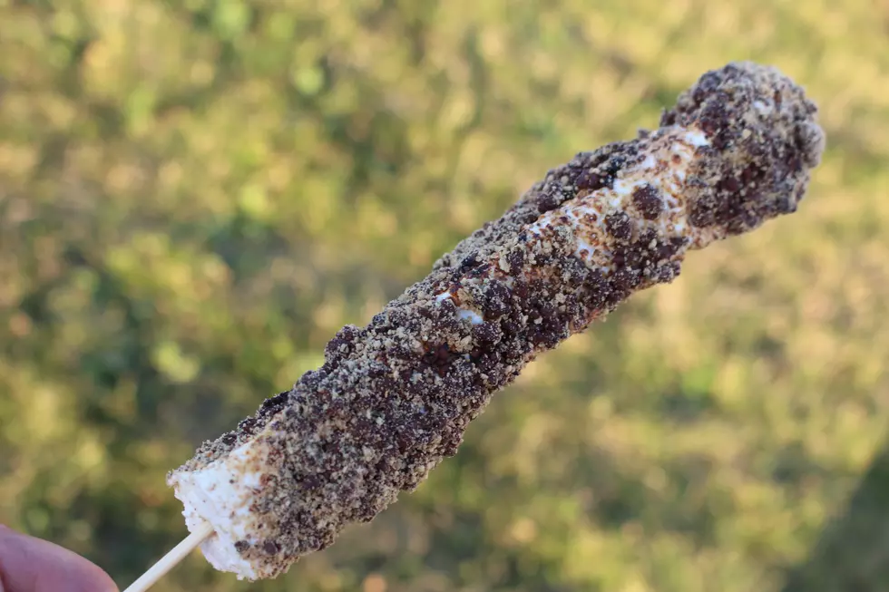 7 Delicious, But Kind of Strange Foods at This Year’s Rockford Town Fair