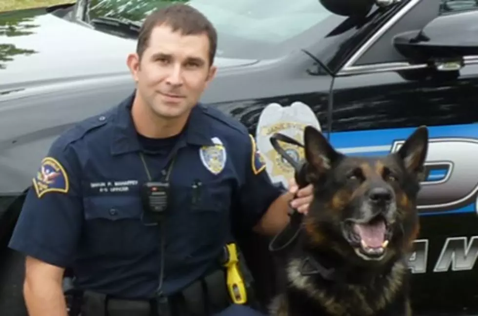 Funeral Procession to be Held for Janesville K9 that Died Unexpectedly