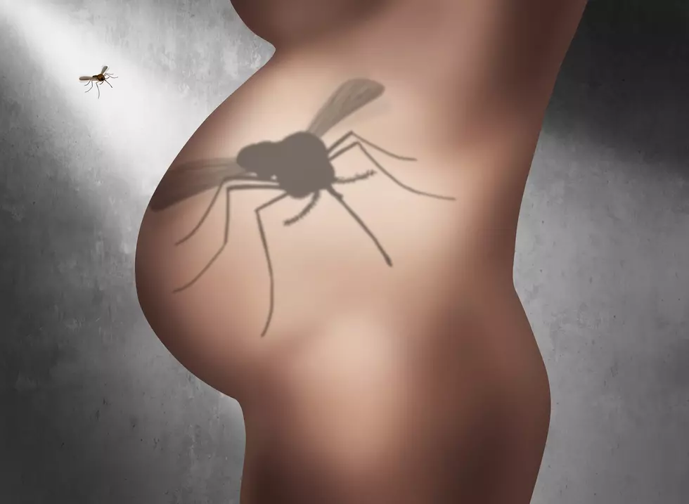 Illinois Health Department Issues Zika Warning to Pregnant Women
