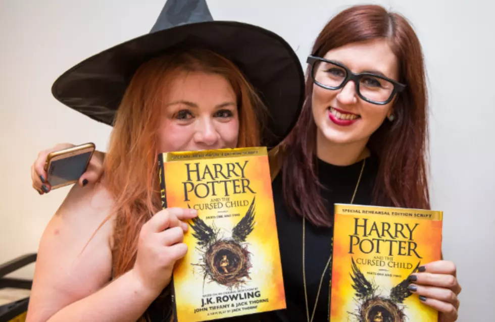 Harry Potter Dinner Coming to Chicago October 25