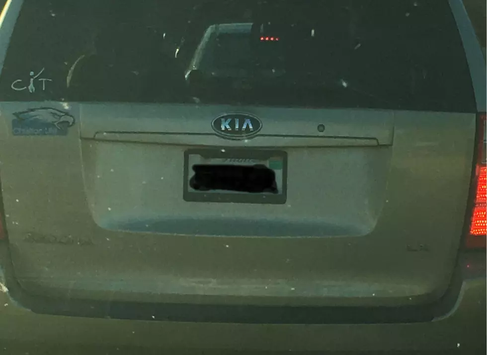 Have You Seen This Hilarious License Plate in Rockford?
