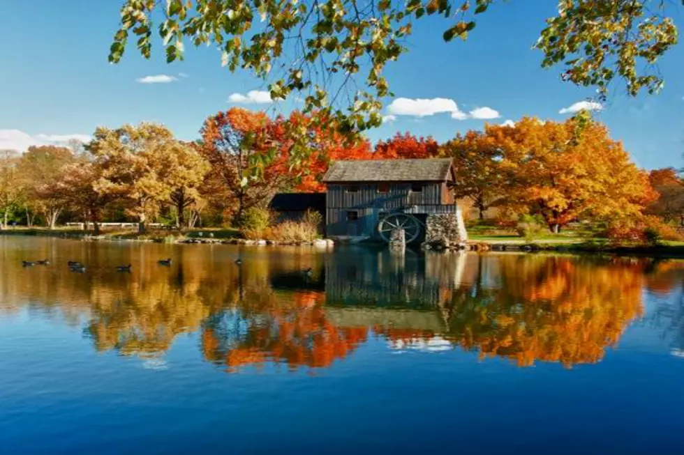 Rockford Attraction Named the Most Enchanting in Illinois