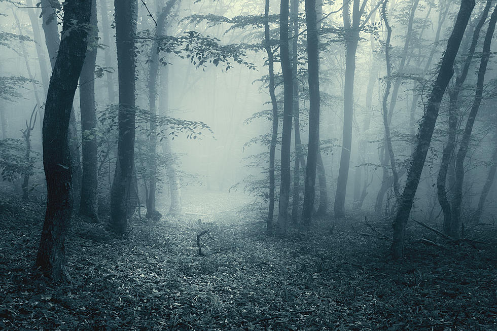 Rockford Forest Named One of the Creepiest in Illinois