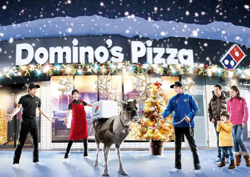 8 Rockford Pizza Joints We Wish had Delivery Reindeer