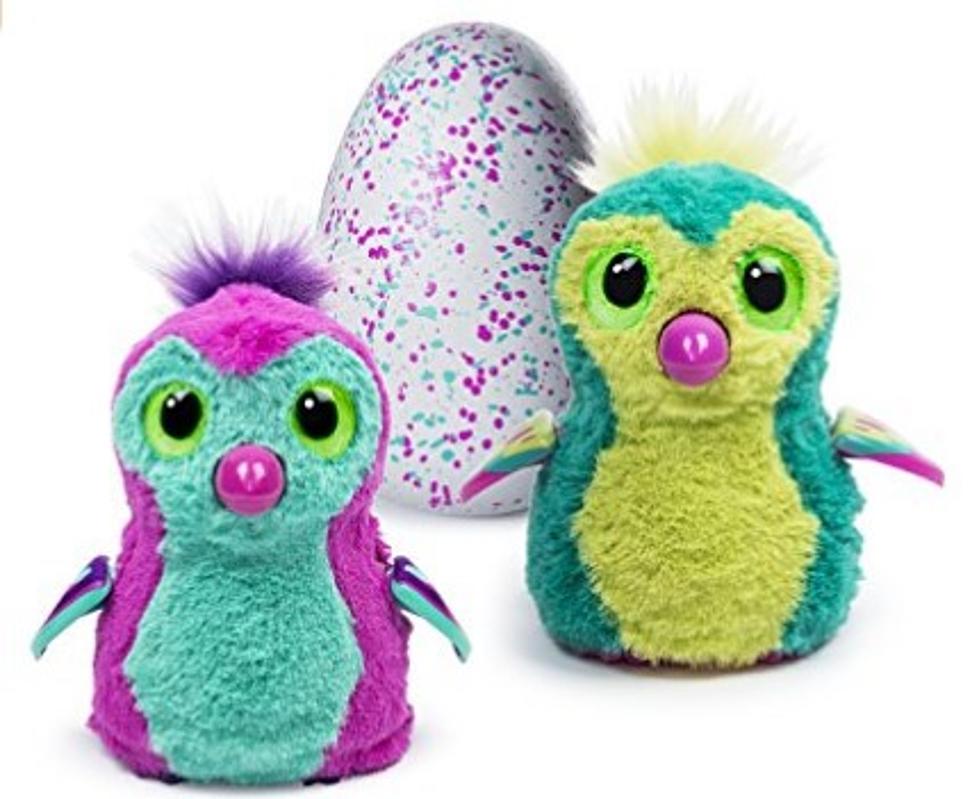 More Hatchimals To Rockford?