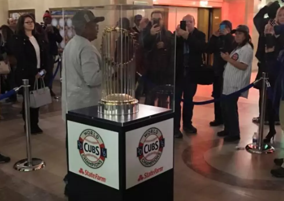 Chicago Cubs World Series Trophy Coming to Rockford on January 8