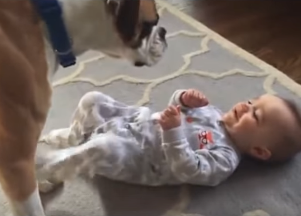 Puppy Tickles Illinois Baby And We Can’t Get Enough Of His Laugh