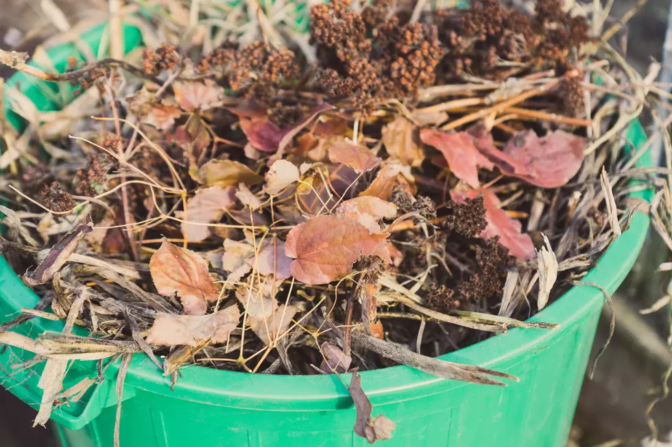 Yard Waste Pick Up Returns