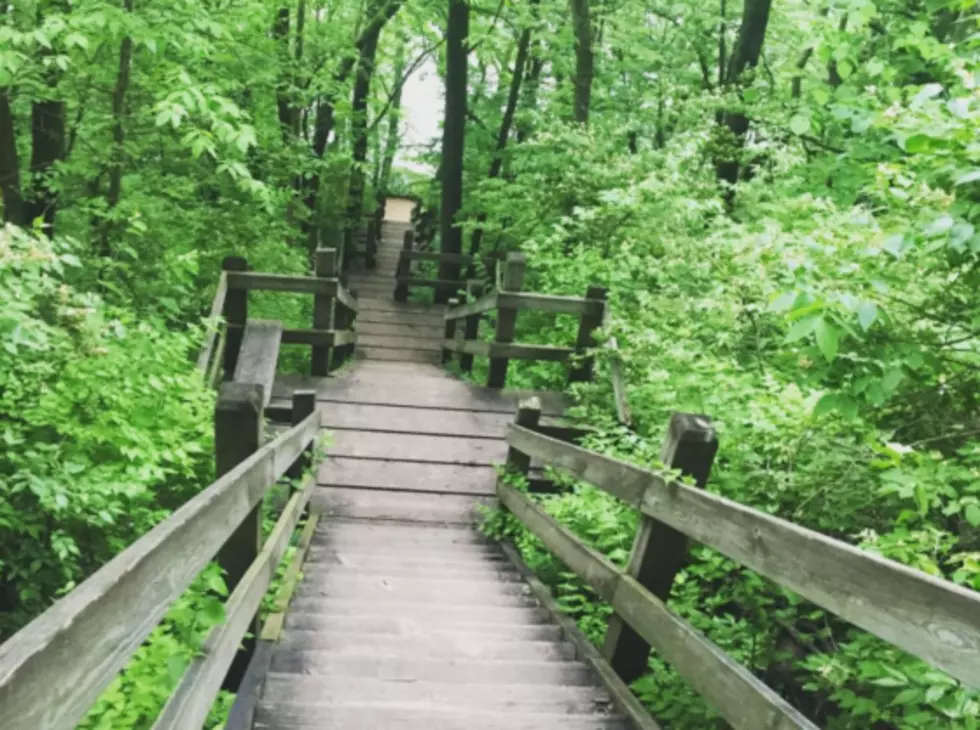 The ‘Most Underrated Hike In All Of Illinois’ is Just Outside of Rockford