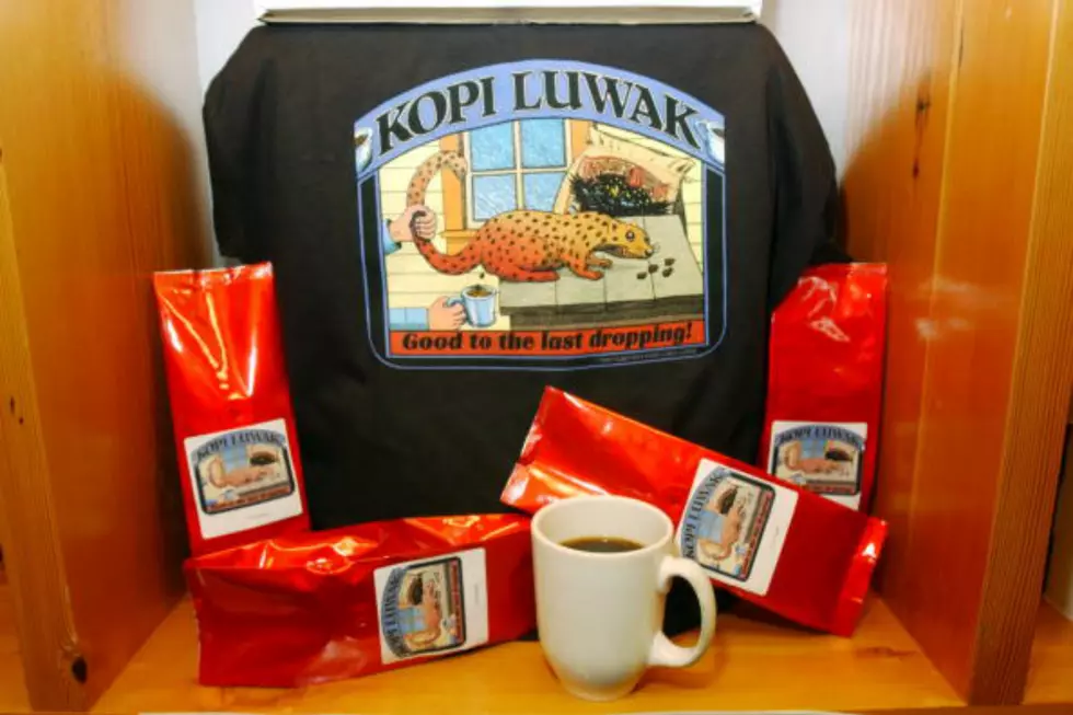 &#8216;Cat Poop Coffee&#8217; is Coming to Illinois