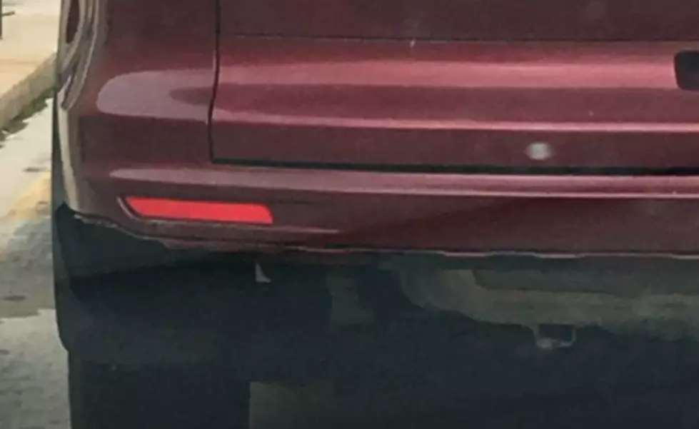 This Rockford Guy Has Some Scary Bumper Stickers And I Just &#8216;Cat&#8217; Anymore [NSFW]