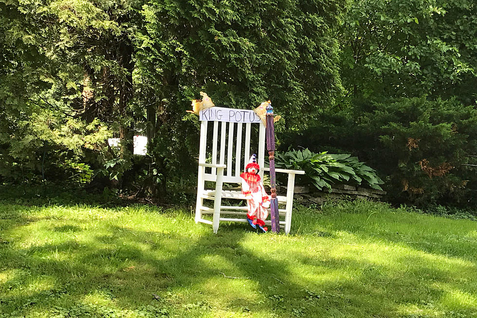 Is This the Most Unusual Yard Decor in Rockford?