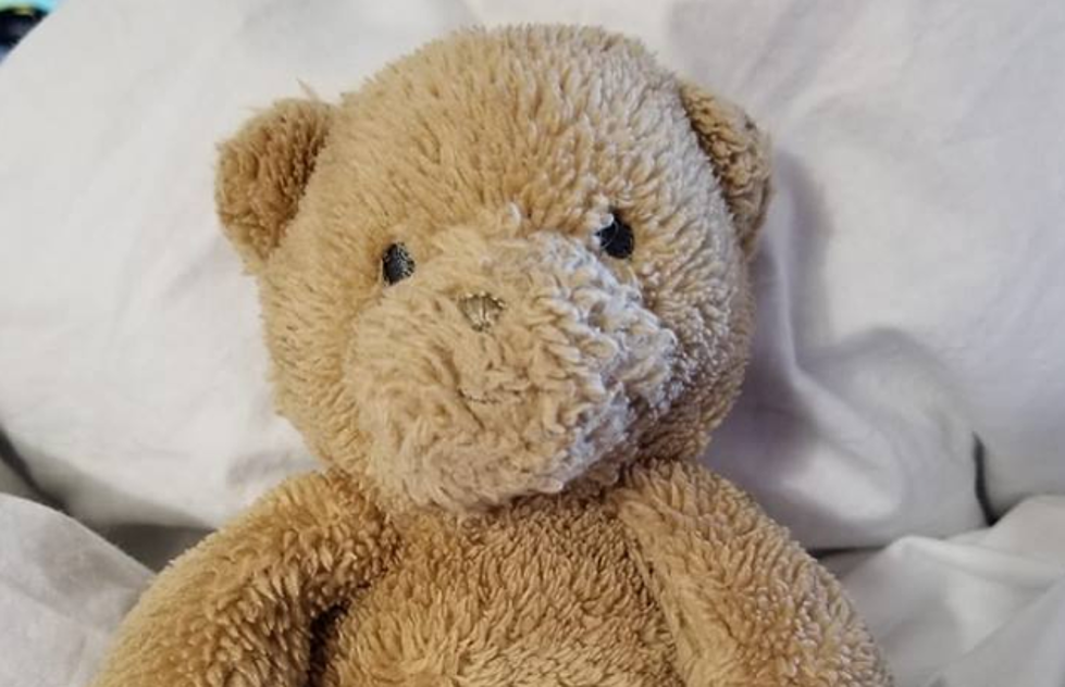 Man Finds Teddy Bear at O'Hare, Internet Searches for Owner